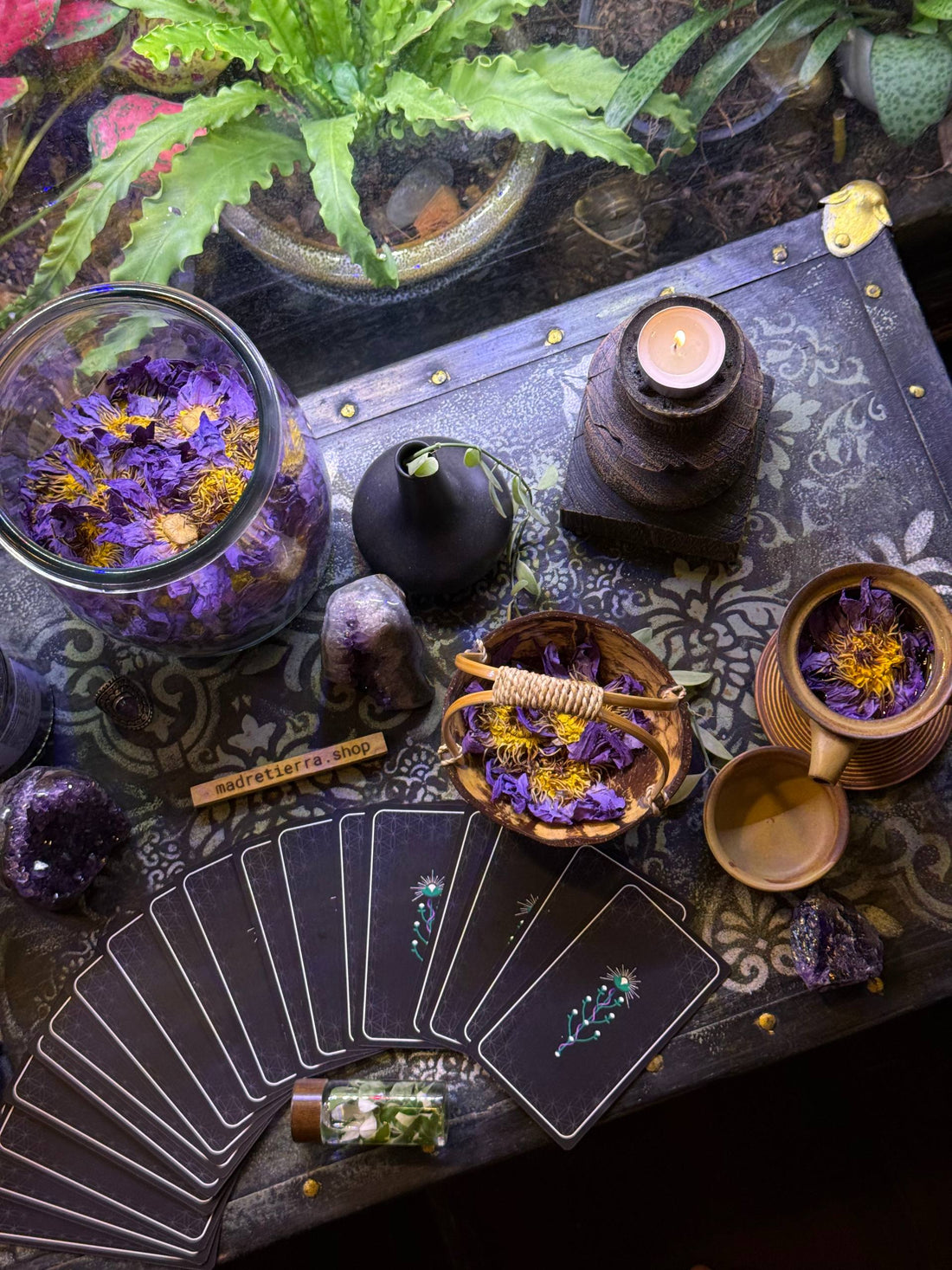 Dried blue lotus flowers, oracle cards, and a madretierra.shop tag