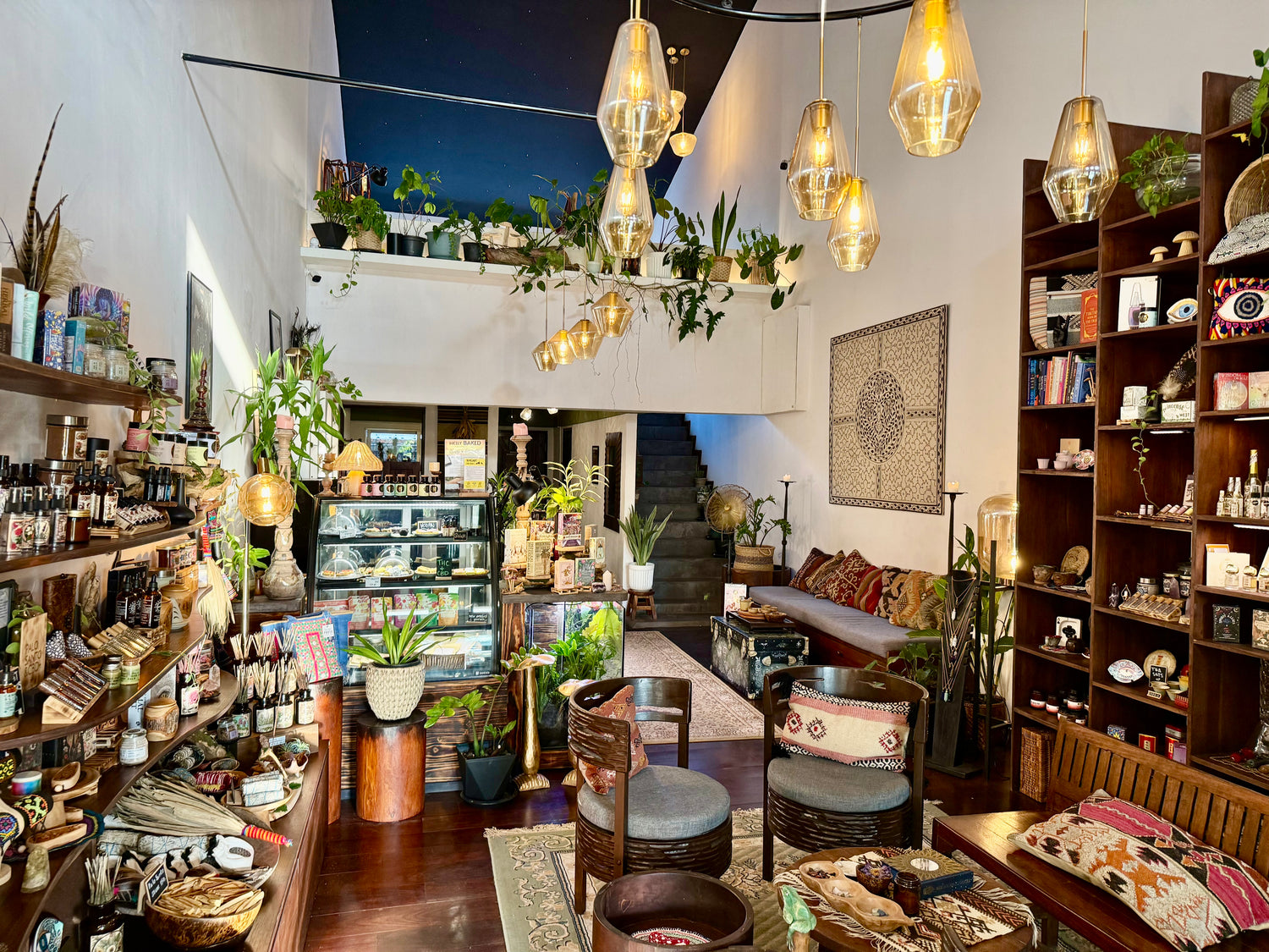 Interior of Madre Tierra Apothecary with shelves, plants and pendant lights
